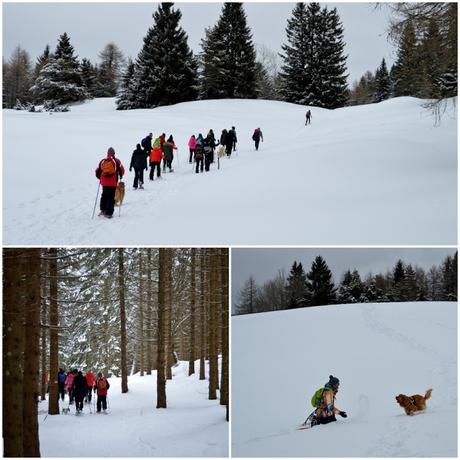 hotel trentino con escursioni guidate dolomiti walking hotel trentino con escursioni guidate dolomiti walking