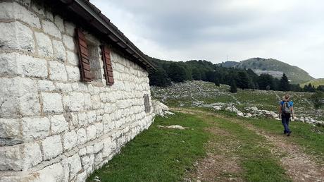 passeggiata malghe piancavallo passeggiata malghe piancavallo
