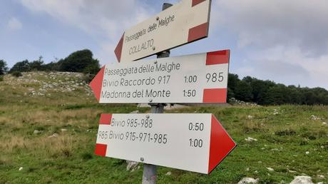 passeggiata malghe piancavallo passeggiata malghe piancavallo