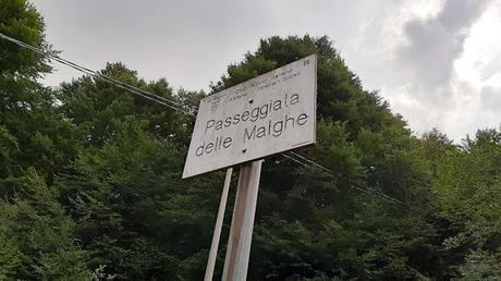 passeggiata malghe piancavallo passeggiata malghe piancavallo