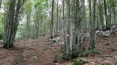 Passeggiata delle malghe al Piancavallo: dove le malghe non ci sono Passeggiata delle malghe al Piancavallo: dove le malghe non ci sono