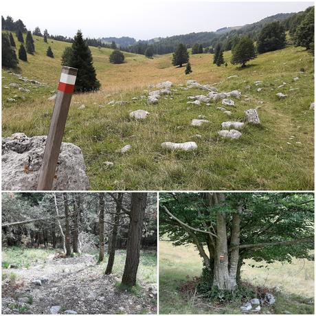 passeggiata malghe piancavallo passeggiata malghe piancavallo