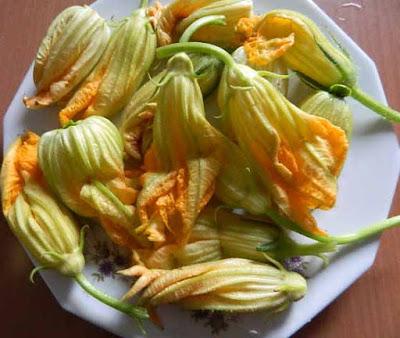 FRITTELLE DI FIORI DI ZUCCA FRITTELLE DI FIORI DI ZUCCA