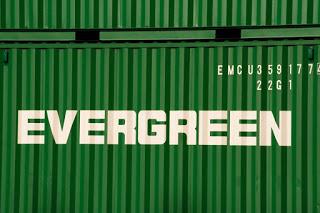 Io sono un vero EVERGREEN rispetto a 'sta massa di fake-green modaioli... Io sono un vero EVERGREEN rispetto a 'sta massa di fake-green modaioli...