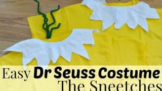60 Costumi di Halloween fai da te FACILI per 2019 Gli Snicci di Dr. Seuss