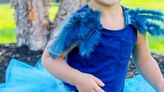 60 Costumi di Halloween fai da te FACILI per 2019 Gonna Tutu