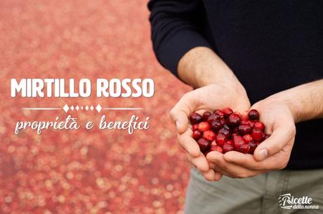 Mirtillo rosso: proprietà, benefici e controindicazioni mirtillo rosso