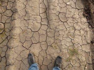 I cambiamenti climatici minacciano anche la fertilità maschile cambiamenti climatici uomo