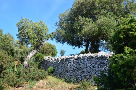 Weekend lungo di Ognissanti sul Gargano tra trekking e masserie Weekend lungo di Ognissanti sul Gargano tra trekking e masserie