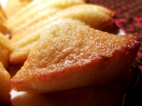 OH LE MADELEINES!!! OH LE MADELEINES!!!