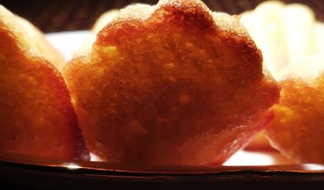 OH LE MADELEINES!!! OH LE MADELEINES!!!