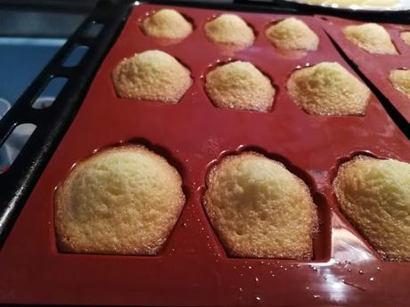 OH LE MADELEINES!!! OH LE MADELEINES!!!