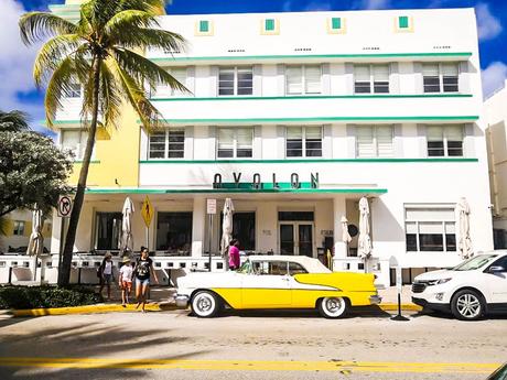 Viaggio in Florida: cosa vedere in 2 settimane Viaggio in Florida: cosa vedere in 2 settimane