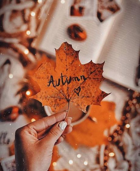 THE DARK ROMANCE TREND FOR FALL 2019 THE DARK ROMANCE TREND FOR FALL 2019