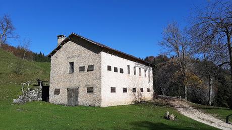 sentiero dei grandi alberi recoaro mille sentiero dei grandi alberi recoaro mille