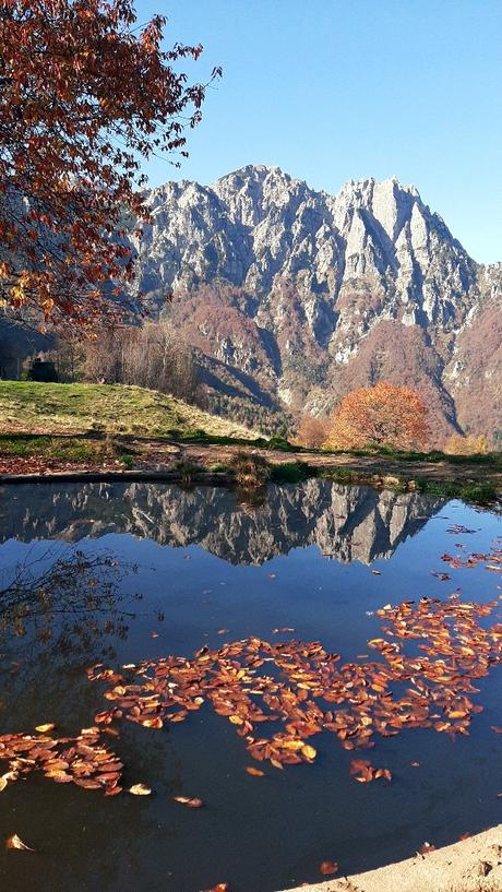 sentiero dei grandi alberi recoaro mille sentiero dei grandi alberi recoaro mille