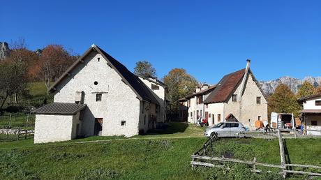 sentiero dei grandi alberi recoaro mille sentiero dei grandi alberi recoaro mille