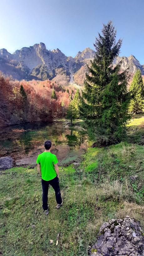 sentiero dei grandi alberi recoaro mille sentiero dei grandi alberi recoaro mille