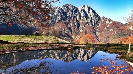 sentiero dei grandi alberi recoaro sentiero dei grandi alberi recoaro