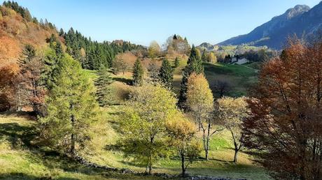 sentiero dei grandi alberi recoaro mille sentiero dei grandi alberi recoaro mille