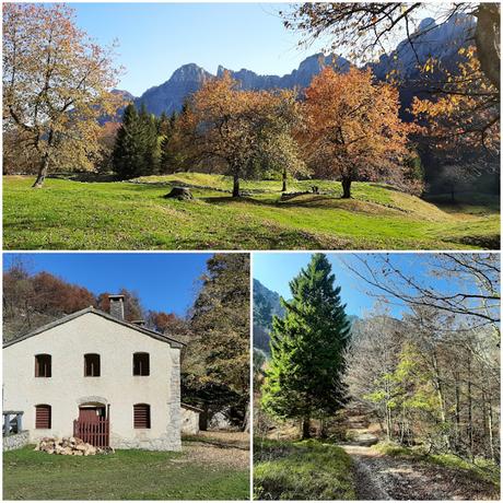 sentiero dei grandi alberi recoaro mille sentiero dei grandi alberi recoaro mille