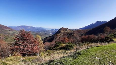 sentiero dei grandi alberi recoaro mille sentiero dei grandi alberi recoaro mille
