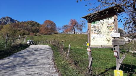 sentiero dei grandi alberi recoaro mille sentiero dei grandi alberi recoaro mille