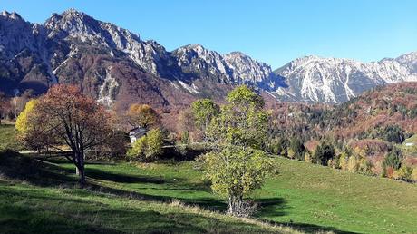 sentiero dei grandi alberi recoaro mille sentiero dei grandi alberi recoaro mille