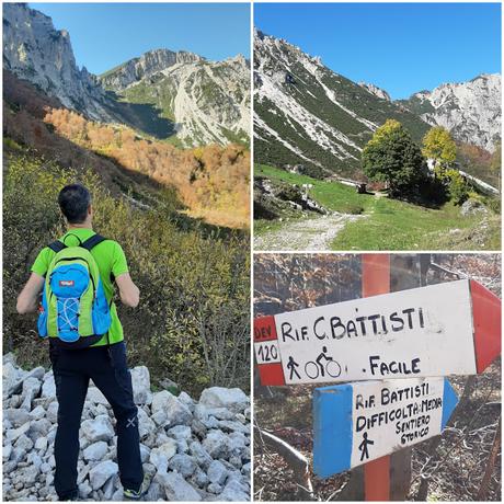 sentiero dei grandi alberi recoaro mille sentiero dei grandi alberi recoaro mille