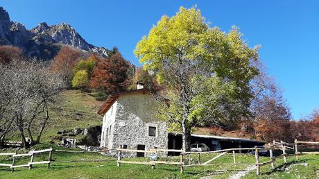 sentiero dei grandi alberi recoaro mille sentiero dei grandi alberi recoaro mille