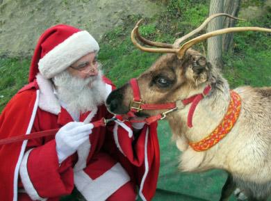 bozza La casa di Babbo Natale riapre i battenti a Montebabbio! bozza La casa di Babbo Natale riapre i battenti a Montebabbio!