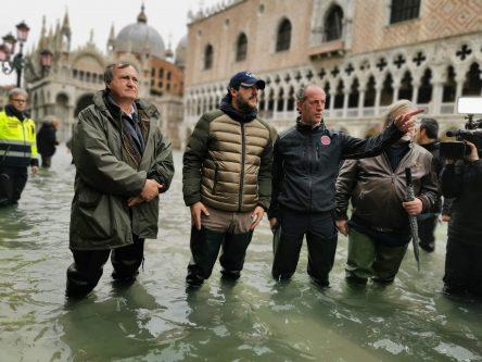 Le mucche di Matteo Salvini Le mucche di Matteo Salvini