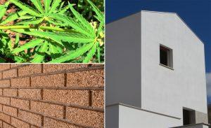 Canapa Expo 2019, formazione e tecnologia tra bioedilizia e architettura Canapa Expo 2019, formazione e tecnologia tra bioedilizia e architettura