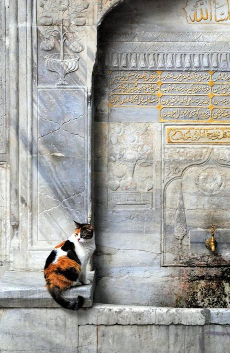 Istanbul Welcome Card: come funziona, attrazioni incluse e info utili Istanbul Welcome Card