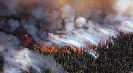 Clima: crisi, non cambiamento. Clima: crisi, non cambiamento.