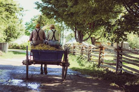 Piccole scelte, grandi mutamenti. Un’Alleanza per cambiare il mondo è possibile, si chiama SlowFood. Piccole scelte, grandi mutamenti. Un’Alleanza per cambiare il mondo è possibile, si chiama SlowFood.