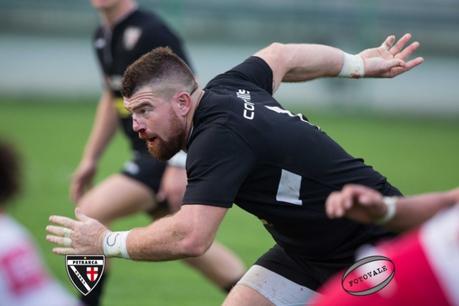Celtici o non celtici? Il Petrarca mette sul tavolo del rugby italiano il tema “concretezza” Celtici o non celtici? Il Petrarca mette sul tavolo del rugby italiano il tema “concretezza”