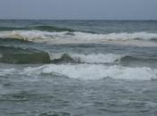Mare nostrum, mare zozzum!