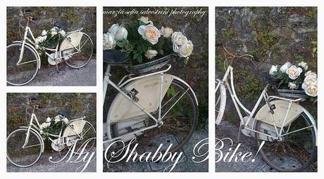 La mia Shabby Bike...Oggetti ri trovati.