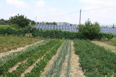 fotovoltaico a San Miniato