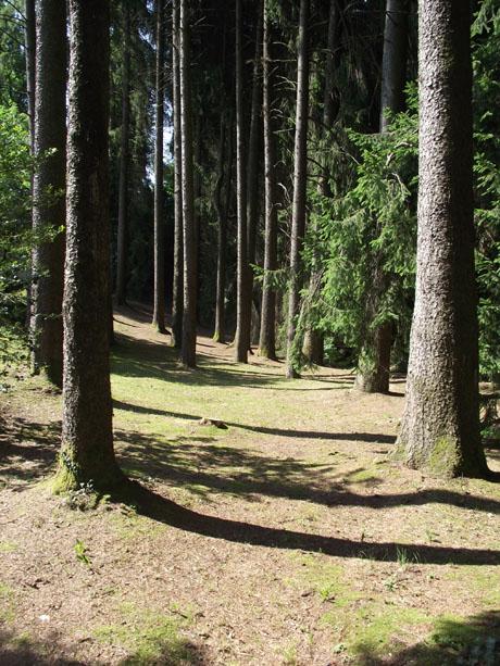 Mamma guarda, le montagne di erba!