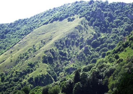 Mamma guarda, le montagne di erba!