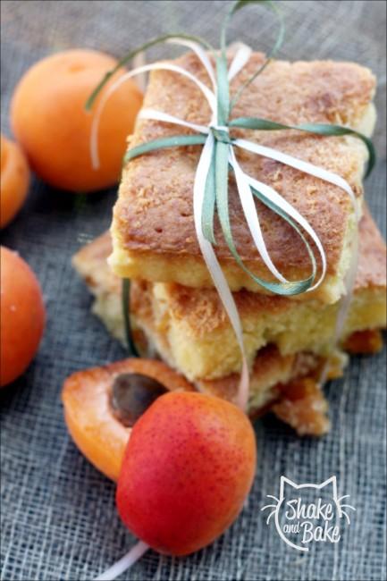 Apricot&coconut; squares