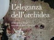 rivista IMMAGINA Angelo Garini wedding planner