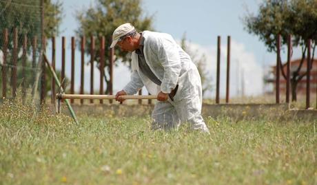 Menfi, progetti di pubblica utilita’ si scontano pene lievi lavorando