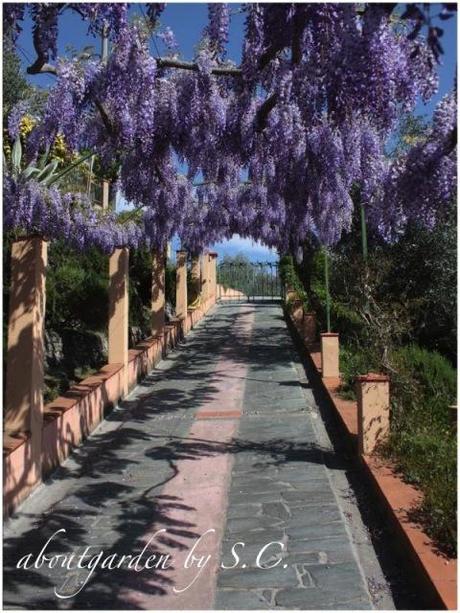 giardino dallo spirito libero