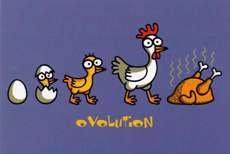 Buon Compleanno KUKUXUMUSU e Viva San Fermin