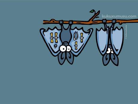 Buon Compleanno KUKUXUMUSU e Viva San Fermin