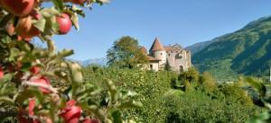 Un giro in Val Venosta, tra castelli e meleti