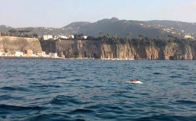 DELFINO MORTO NEL MARE DELLA PENISOLA SORRENTINA